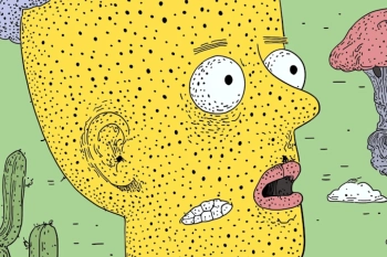 Why Strong Systems Create Better Business Results